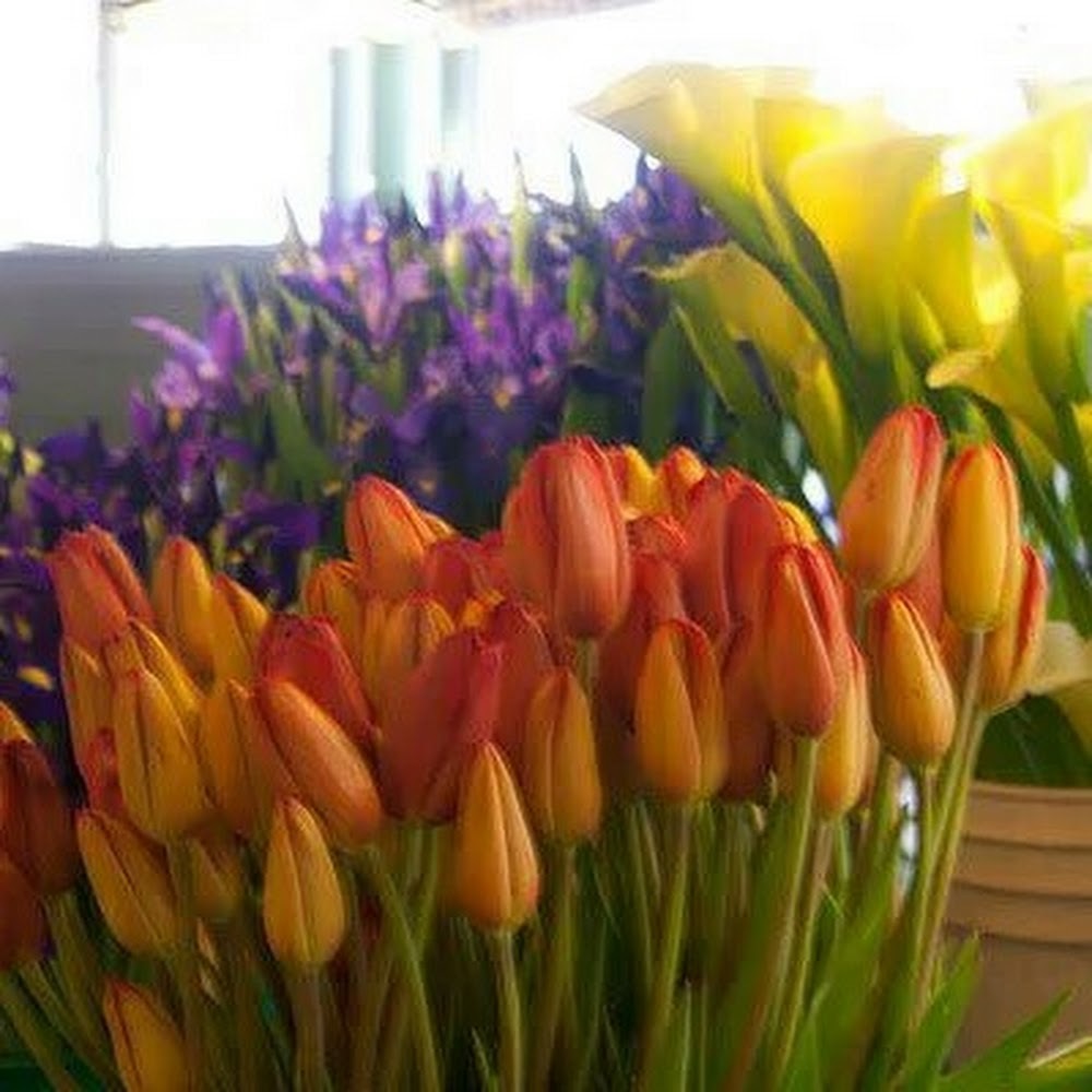 Meet your Posher, Tiffany